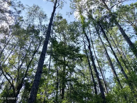 Merritt Road, Leakesville, MS 39451