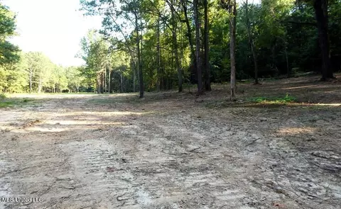 499 Kimes Cv, Sardis, MS 38666