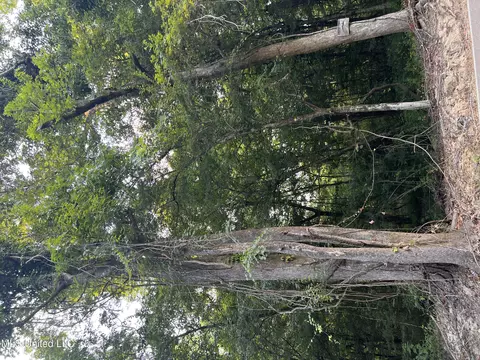 Foster Road, Florence, MS 39073 photo 18