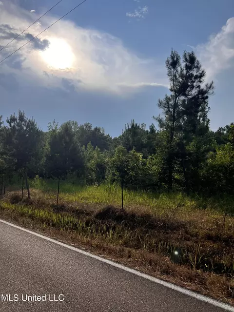 Foster Road, Florence, MS 39073 photo 6