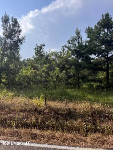 Foster Road, Florence, MS 39073 photo 5