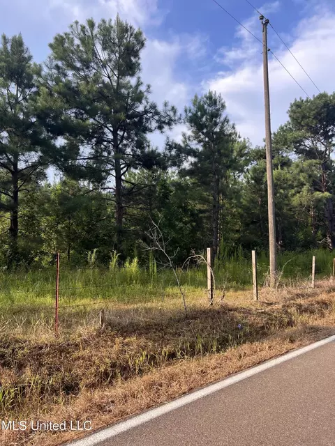 Foster Road, Florence, MS 39073 photo 4