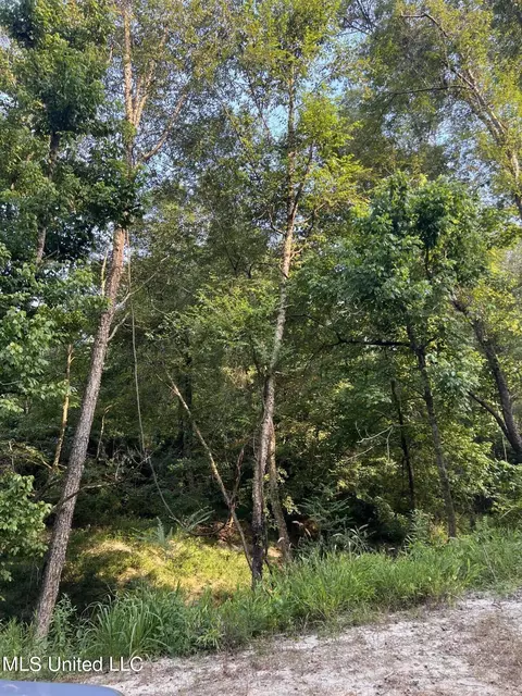 Foster Road, Florence, MS 39073 photo 7