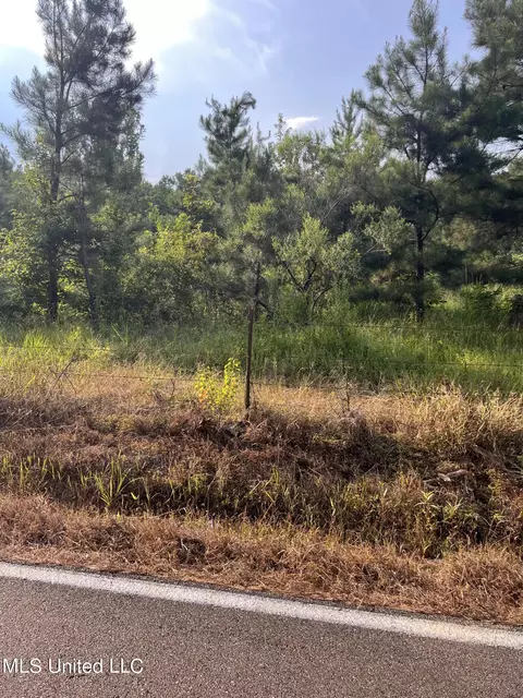 Foster Road, Florence, MS 39073 photo 3