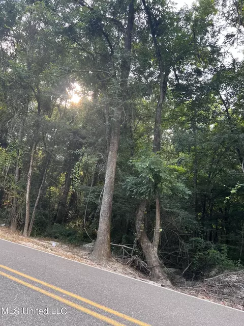 Foster Road, Florence, MS 39073 photo 17