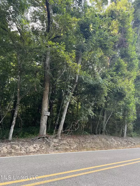 Foster Road, Florence, MS 39073 photo 16