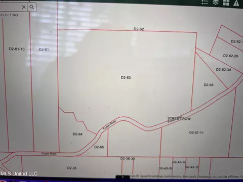 Foster Road, Florence, MS 39073 photo 19