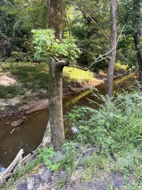 Foster Road, Florence, MS 39073 photo 12
