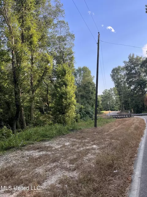 Foster Road, Florence, MS 39073 photo 8