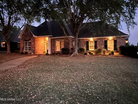2004 Devonbriar Cove Cv, Brandon, MS 39042 photo 5