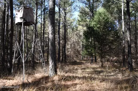 0 Robison Rd, Batesville, MS 38606 photo 3