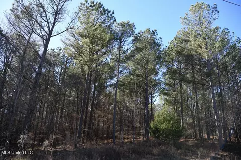 0 Robison Rd, Batesville, MS 38606 photo 12
