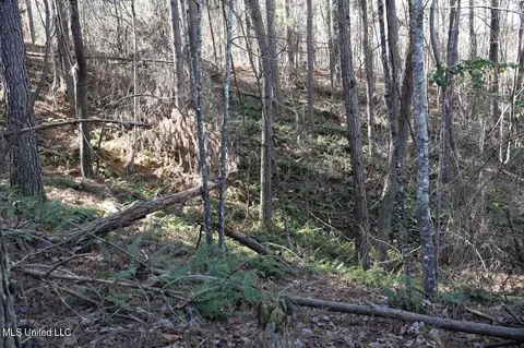 0 Robison Rd, Batesville, MS 38606 photo 5