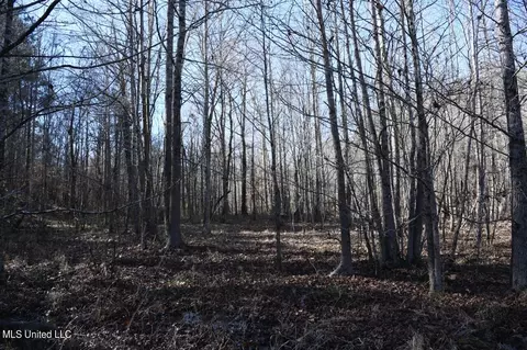 0 Robison Rd, Batesville, MS 38606 photo 6