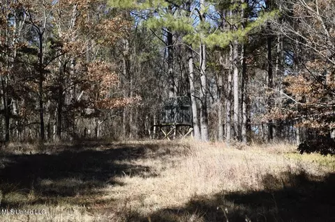 0 Robison Rd, Batesville, MS 38606 photo 9
