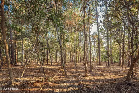 Bristol Blvd Boulevard, Ocean Springs, MS 39564