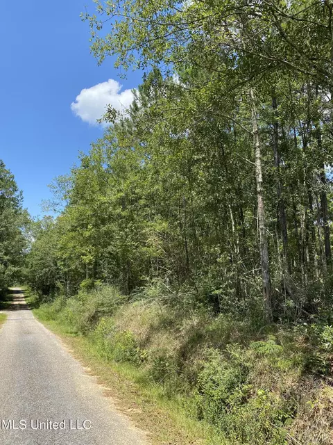 Burgetown Road, Picayune, MS 39466 photo 6