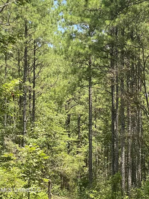 Burgetown Road, Picayune, MS 39466 photo 13