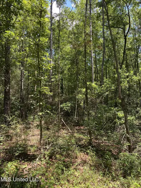 Burgetown Road, Picayune, MS 39466 photo 16