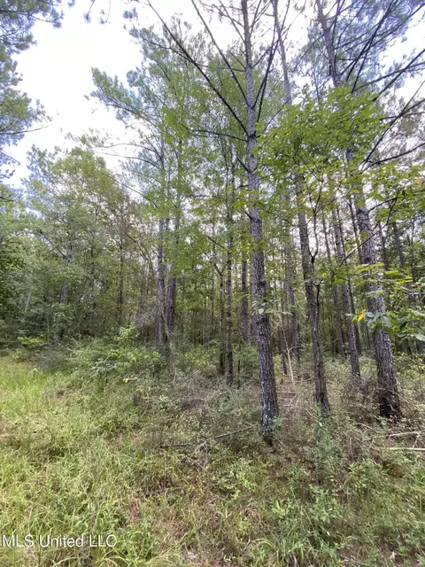 Burgetown Road, Picayune, MS 39466 photo 19