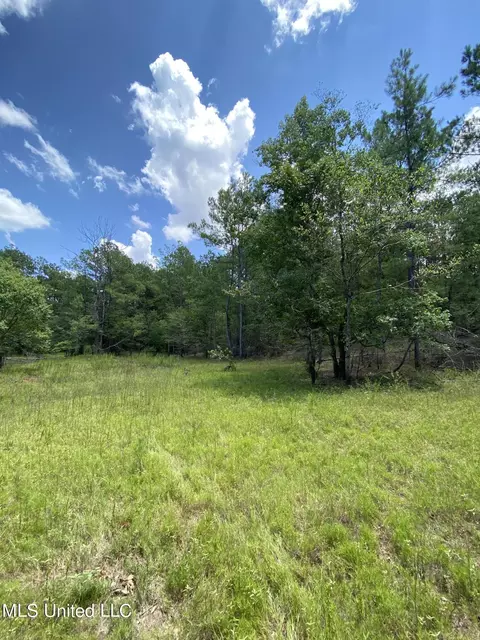 Burgetown Road, Picayune, MS 39466 photo 4
