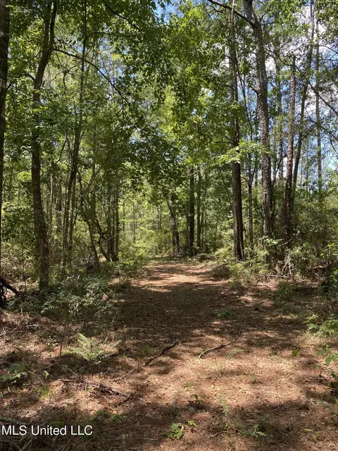 Burgetown Road, Picayune, MS 39466