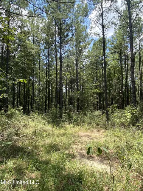 Burgetown Road, Picayune, MS 39466 photo 18