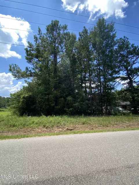 Burgetown Road, Picayune, MS 39466 photo 5