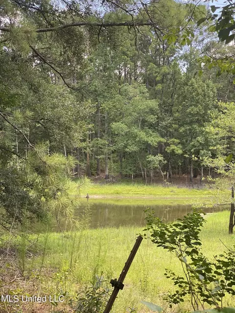 Burgetown Road, Picayune, MS 39466 photo 2