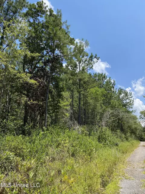 Burgetown Road, Picayune, MS 39466 photo 7