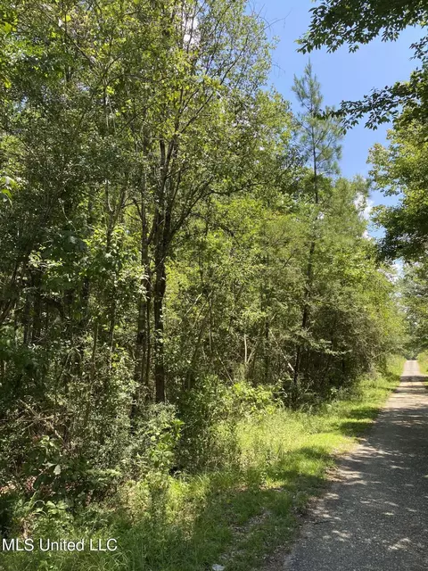 Burgetown Road, Picayune, MS 39466 photo 8