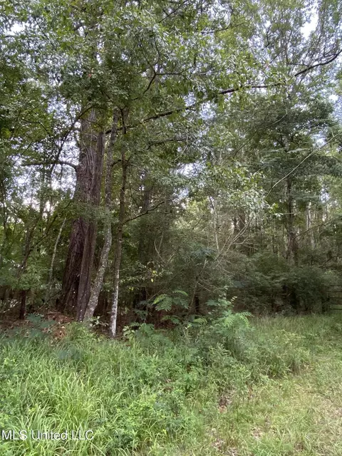 Burgetown Road, Picayune, MS 39466 photo 12