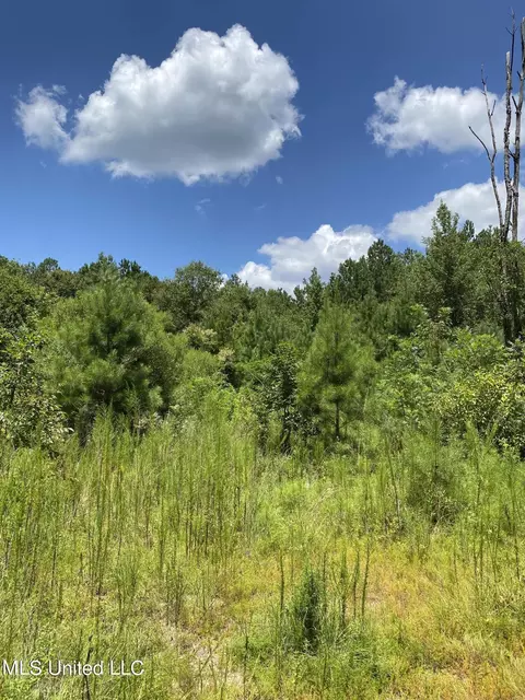 Burgetown Road, Picayune, MS 39466 photo 9
