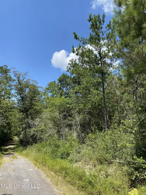 Burgetown Road, Picayune, MS 39466 photo 15