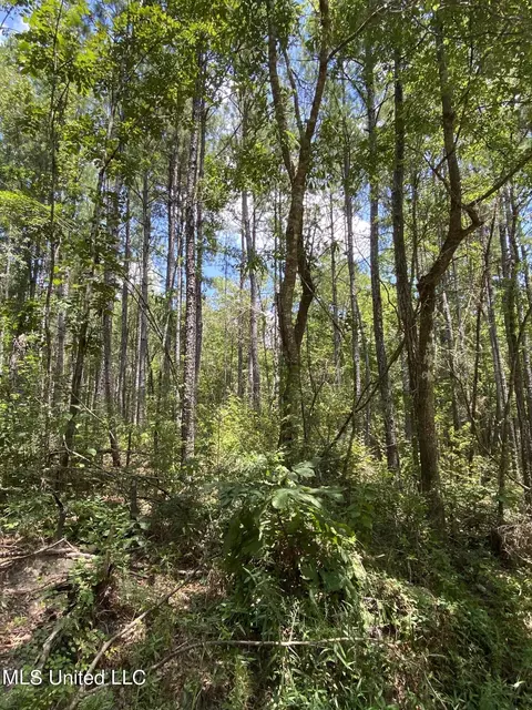 Burgetown Road, Picayune, MS 39466 photo 14