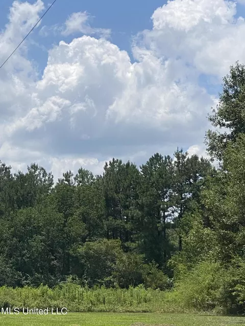 Burgetown Road, Picayune, MS 39466 photo 11