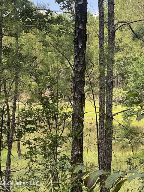 Burgetown Road, Picayune, MS 39466 photo 17