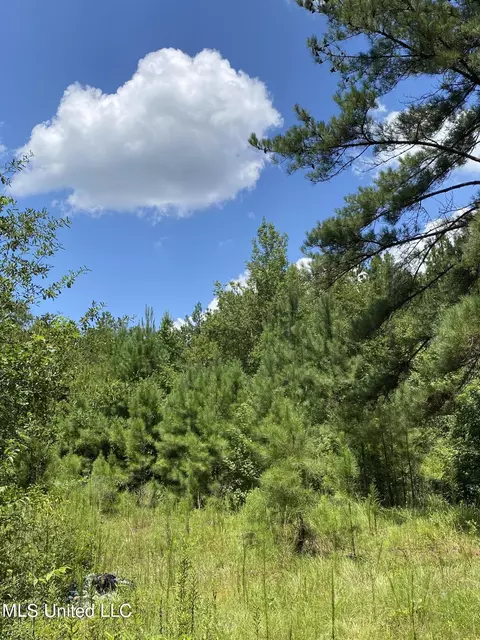 Burgetown Road, Picayune, MS 39466 photo 10