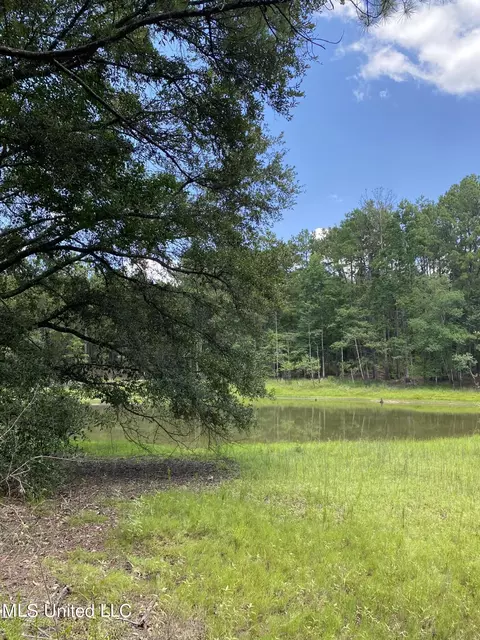 Burgetown Road, Picayune, MS 39466 photo 3