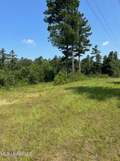 Chapel Hill Rd Road, Decatur, MS 39327
