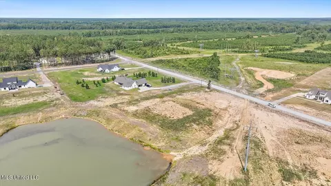 537 Stump Ridge Rd, Brandon, MS 39047 photo 5