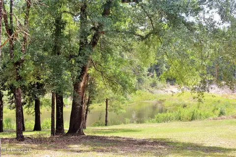 124 Dorothys Ln # A, Lucedale, MS 39452 photo 37