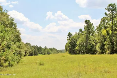 124 Dorothys Ln # A, Lucedale, MS 39452 photo 33