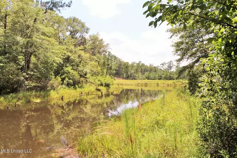 124 Dorothys Ln # A, Lucedale, MS 39452 photo 24