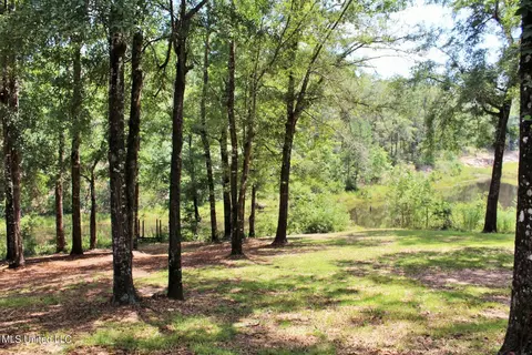 124 Dorothys Ln # A, Lucedale, MS 39452 photo 26