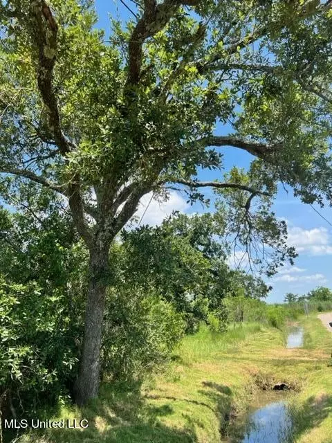 99 Pine Tree Rd, Bay Saint Louis, MS 39520