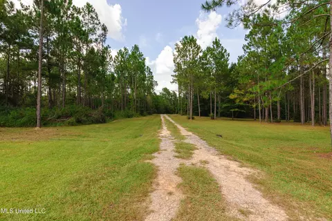 23971 Red Bluff Rd, Moss Point, MS 39562 photo 6