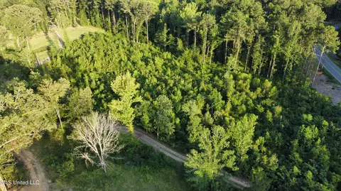 Cleary Road, Florence, MS 39073 photo 3