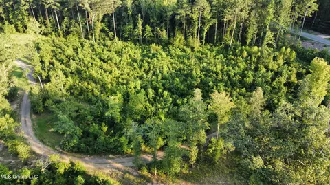 Cleary Road, Florence, MS 39073 photo 6