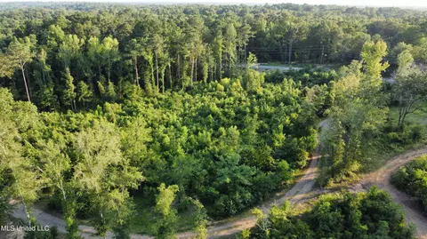 Cleary Road, Florence, MS 39073 photo 5